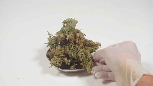policeman shows a seized drug from a teenager
