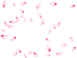 Spring tree flowers parts, airy flying petals