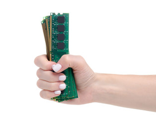 RAM in hand on a white background isolation