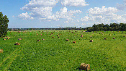 Aerial Drone view of Hay Rolls in the Wheat Field, Surrounded with Forests - Sunny Summer Day,...