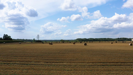 Obraz premium Aerial Drone view of Hay Rolls in the Wheat Field, Surrounded with Forests - Sunny Summer Day, Vintage Look Edit.