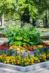Fototapeta na wymiar Colorful flowerbed with dahlia, begonia, salvia, marigold and sweet tobacco in the city park.