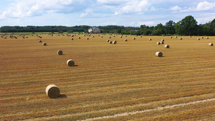 Obraz premium Aerial Drone view of Hay Rolls in the Wheat Field, Surrounded with Forests - Sunny Summer Day, Vintage Look Edit.