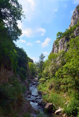 Fototapeta na wymiar Turzii canyon - Romania