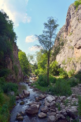 Fototapeta na wymiar Turzii canyon - Romania
