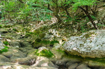 view of the beautiful mountain riverbed in the Crimea among the rocks and trees in the summer