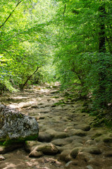view of the beautiful mountain riverbed in the Crimea among the rocks and trees in the summer