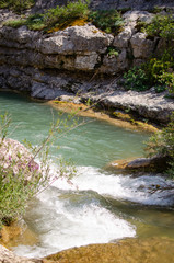 view of the beautiful mountain river in the Crimea among the rocks and trees in the summer
