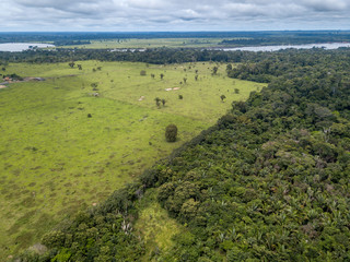 Aerial view of deforestation and destruction of native Amazon rainforest to open cattle pasture...