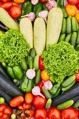 Fresh farm vegetables close-up. Cucumber, garlic, tomatoes