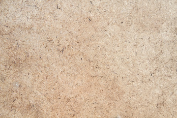 Recycled wood agglomerate texture detail - obrazy, fototapety, plakaty