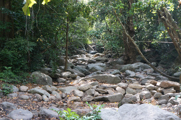 A dried stream cuased of drought