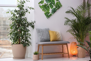 Stylish modern room interior with exotic houseplants