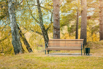 Ordinary resting bench set in park with trees and yellow leaves on autumn day.