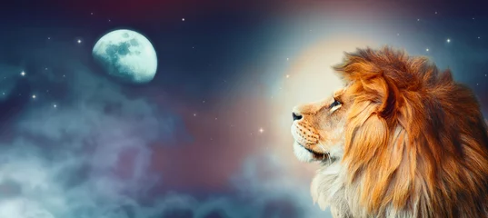 Foto op Plexiglas Afrikaanse leeuw en maannacht in Afrika. Afrikaans savanne-maanlichtlandschap, koning der dieren. Trotse dromende fantasieleeuw in savanne die uitkijkt naar sterren. Majestueuze dramatische sterrenhemel brede banner. © julia_arda