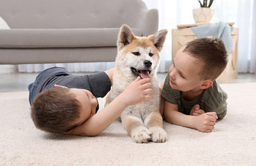 Happy boys with Akita Inu dog on floor in living room. Little friends