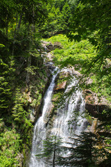 Obraz premium Small waterfall in the forest