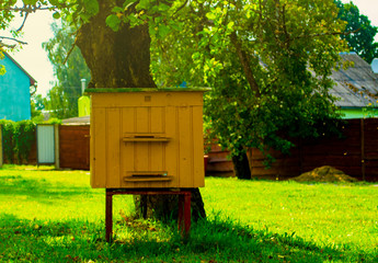 Hives in an apiary with bees flying to the landing boards. Apiculture