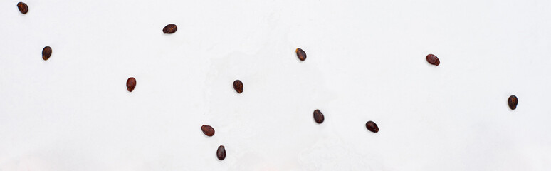 panoramic shot of fresh watermelon seeds on white background © LIGHTFIELD STUDIOS
