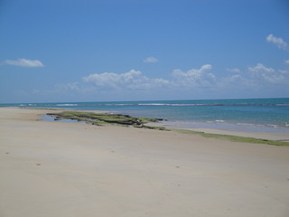 The beautiful landscape found in the beaches of Alagoas, Brazil.