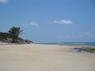 The beautiful landscape found in the beaches of Alagoas, Brazil.