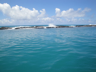 Obraz premium Beautiful view of the sea from Alagoas, Brazil.