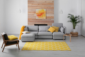 Stylish living room interior with comfortable couch