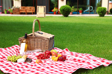 Picnic basket with products and bottle of wine on checkered blanket in garden