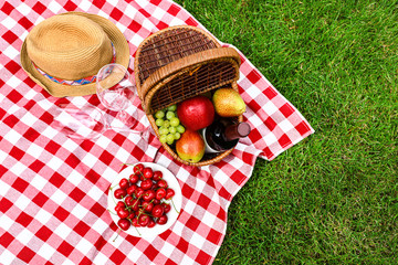 Picnic basket with fruits and bottle of wine on checkered blanket in garden, top view