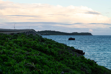 真夏の海、南国の風