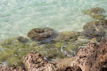 真夏の海、南国の風