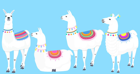 A set of llamas. Cute Guanaco . Vector illustration