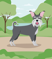 cute schnauzer dog pet character in the camp