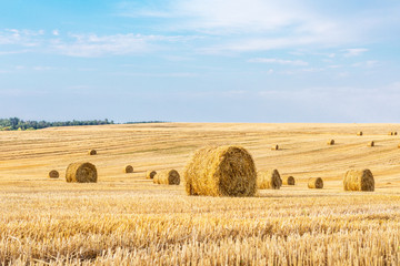 Wheat field after harvest with straw bales at sunset