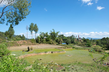 Green and brown rice terrace fields in Tana Toraja, South Sulawesi, Indonesia
