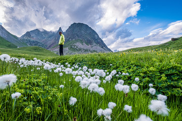 Senior hiker standing in front of some peaks in the Ecrins National park, in a meadow full of cotton grass, French Alps