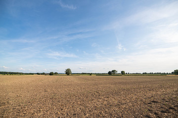 Ackerbau in Westfalen