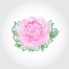 Watercolor hand drawn vector rose and green leaves