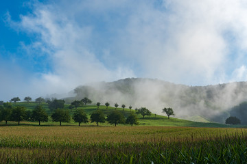 Idyllische Stimmung in der Natur am Morgen