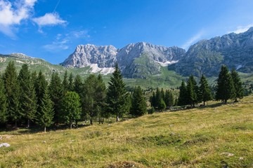 Mountain panorama of the Montasio plateau, Italy.