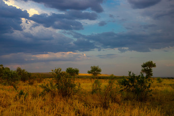 Naklejka na ściany i meble Evening in wildlife away from civilization. Bright contrasting sky. Steppe landscape in warm colors.