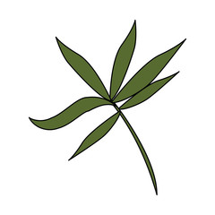 tropical floral botanical environment cartoon