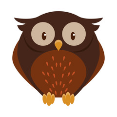 Cute owl bird cartoon isolated