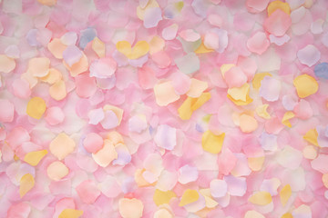Abstract background of petals