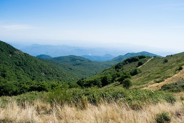Turo de l’Home valley, natural park of Montseny in Catalonia, Spain
