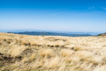 Turo de l’Home valley, natural park of Montseny in Catalonia, Spain