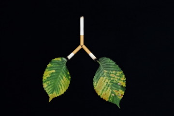 Leaves as symbol of the lungs of man and planet Earth affected by tobacco smoke, carcinogens and...