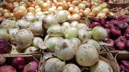 Many small onion bulbs for planting. Different varieties of onions