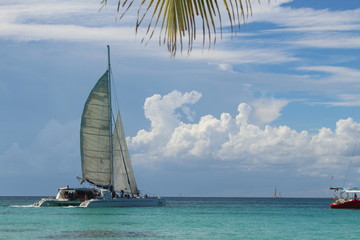 sailing boat in the sea