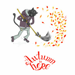 Cat on roller skate sweeps red and yellow autumn leaves. Autumn is here lettering postcard on white background hand drawn art design element stock vector illustration for web, for print